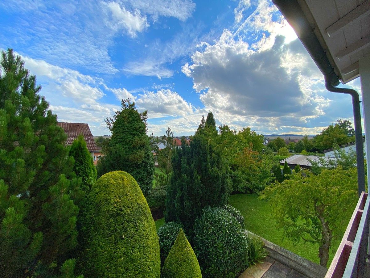 Ausblick