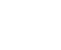 IVD Logo